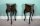 01482 p-Lovely-Louis-XV-Kingwood-&-Walnut-Side-Tables-Pedestals-1